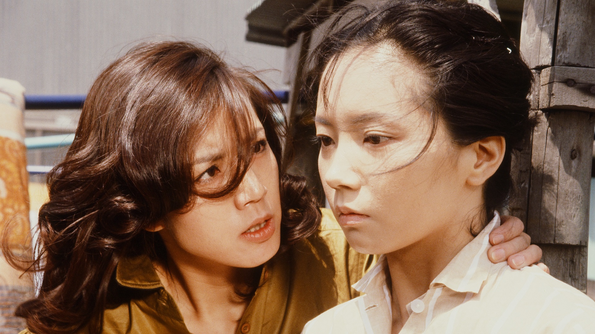 あの頃のロマンポルノ】日本映画批評『天使のはらわた 名美』 |キネマ 